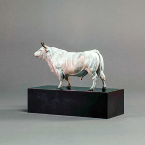 White Park Bull: Ltd Edition Bronze Bull Sculpture - Nick Bibby