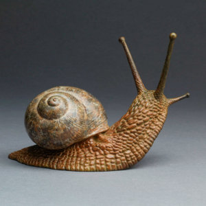 Garden Snail: Ltd Edition Bronze Snail Sculpture by Nick Bibby