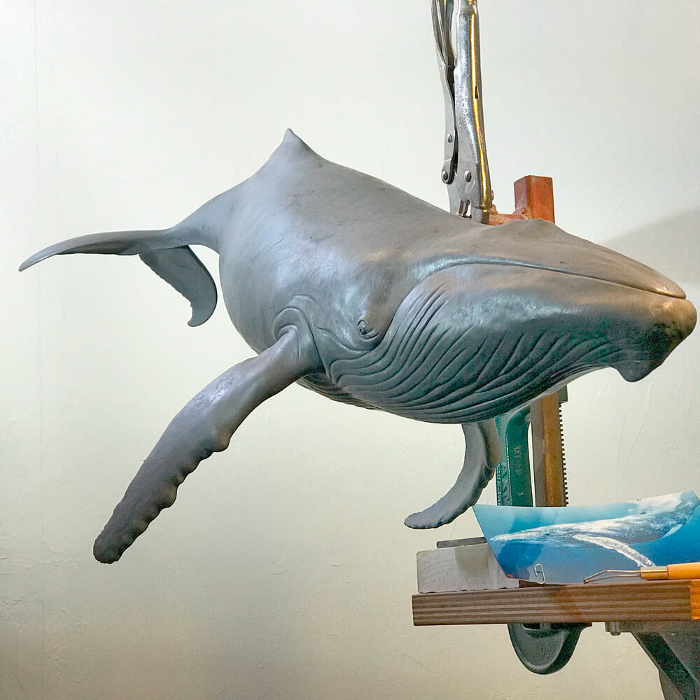 Humpback Whale, by Nick Bibby - 1/20th scale Bronze Whale Sculpture